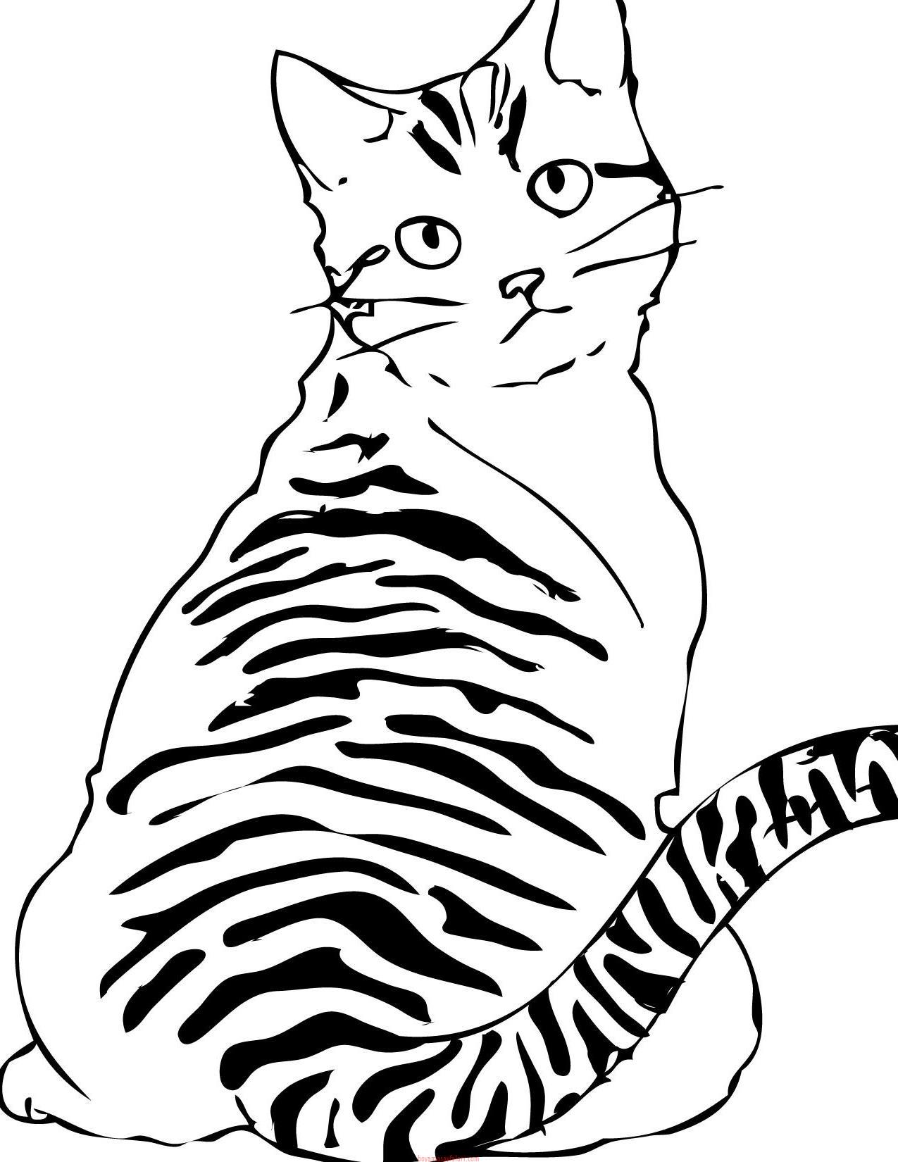 kedi şablonları (7) Sınıf Öğretmenleri İçin Ücretsiz Özgün Etkinlikler