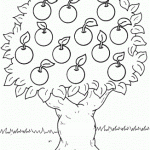 1. sınıf elma şablonu