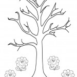 patlamış mısır etkinliği 1. sınıf