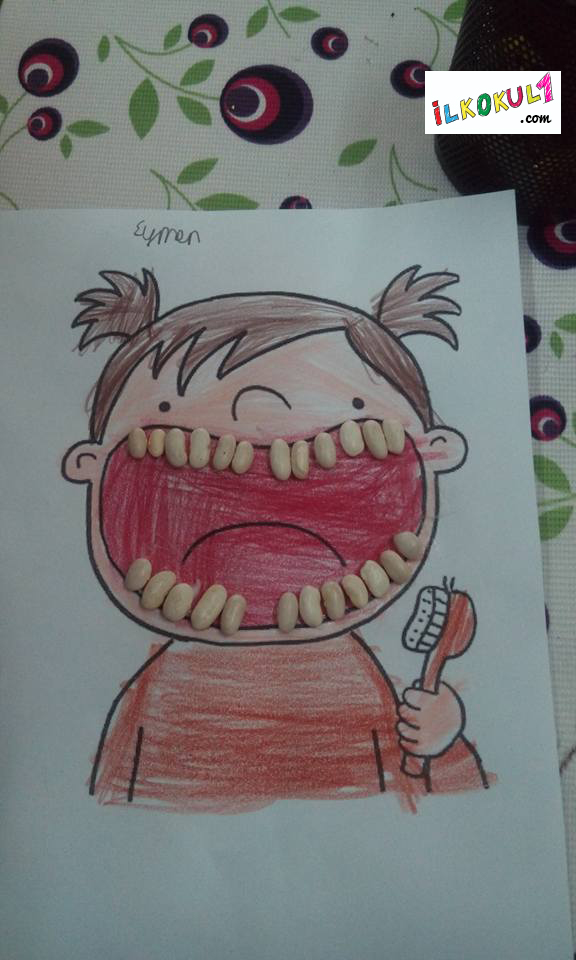 fasülye ile diş etkinliği