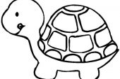 Kaplumbağa Boyama Sayfaları