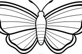 Kelebek Boyama Sayfaları, Kelebek Şablonları