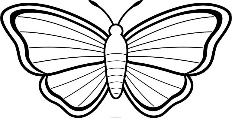 Kelebek Boyama Sayfaları, Kelebek Şablonları