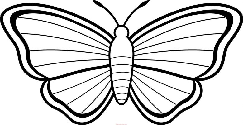 Kelebek Boyama Sayfaları, Kelebek Şablonları