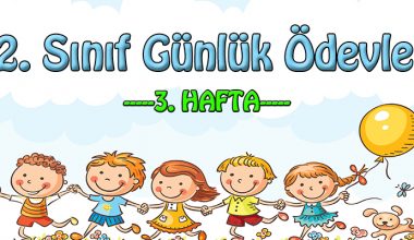 2. Sınıf Günlük Ödevler -2. Dönem 3. Hafta-