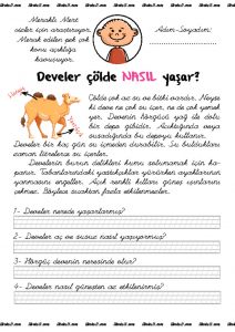 thumbnail of Meraklı Mert 1