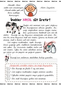 thumbnail of Meraklı Mert 2