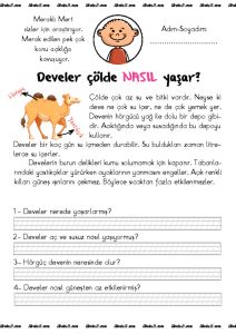 thumbnail of düz yazı develer