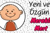 Meraklı Mert 1. ve 2. Bölüm
