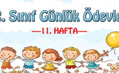2. Sınıf Günlük Ödevler -2. Dönem 11. Hafta-