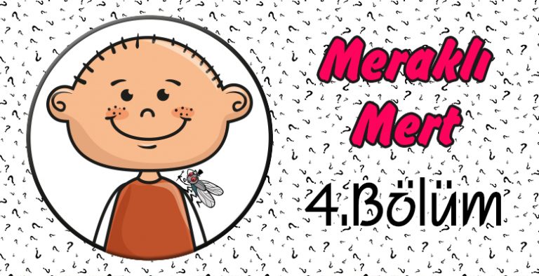 Meraklı Mert -4. Bölüm- Sinekler Tavanda Nasıl Yürür? Meraklı Mert -4. Bölüm- Sinekler Tavanda Nasıl Yürür?