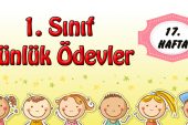 1. Sınıf Günlük Ödevler -2. Dönem 17. Hafta-