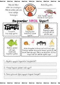 thumbnail of nasıl uyur 2