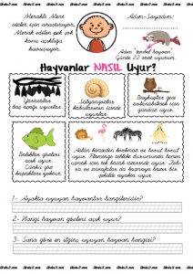 thumbnail of nasıl uyur