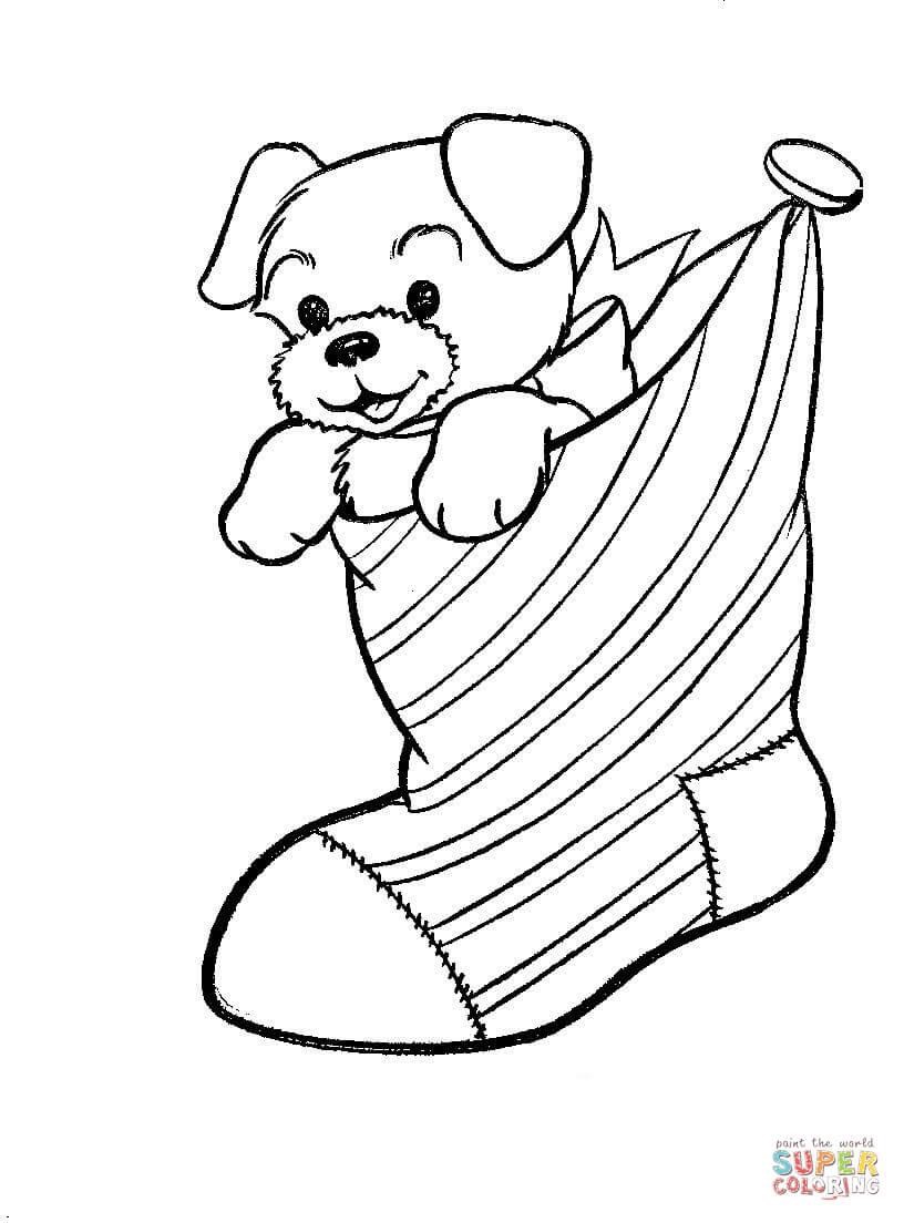 A-Puppy-Dog-İn-A-Christmas-Stocking-Coloring-Page