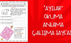 “Ayılar” Okuma Anlama Çalışma Sayfası