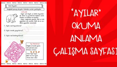 “Ayılar” Okuma Anlama Çalışma Sayfası