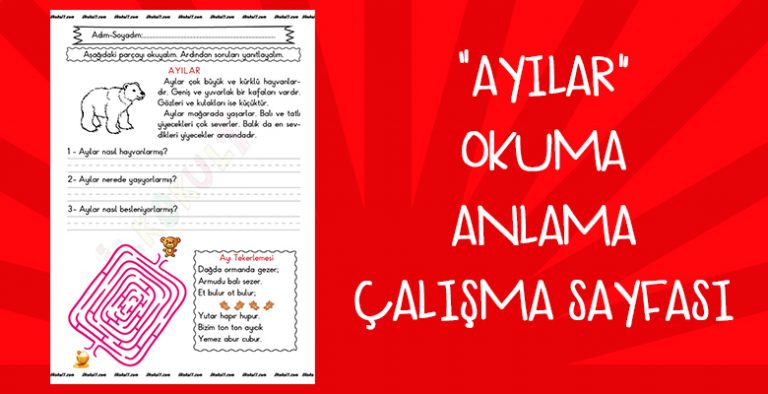 “Ayılar” Okuma Anlama Çalışma Sayfası