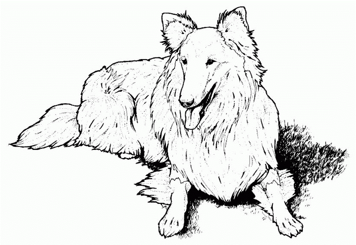 Dog-Coloring-Pages-Online