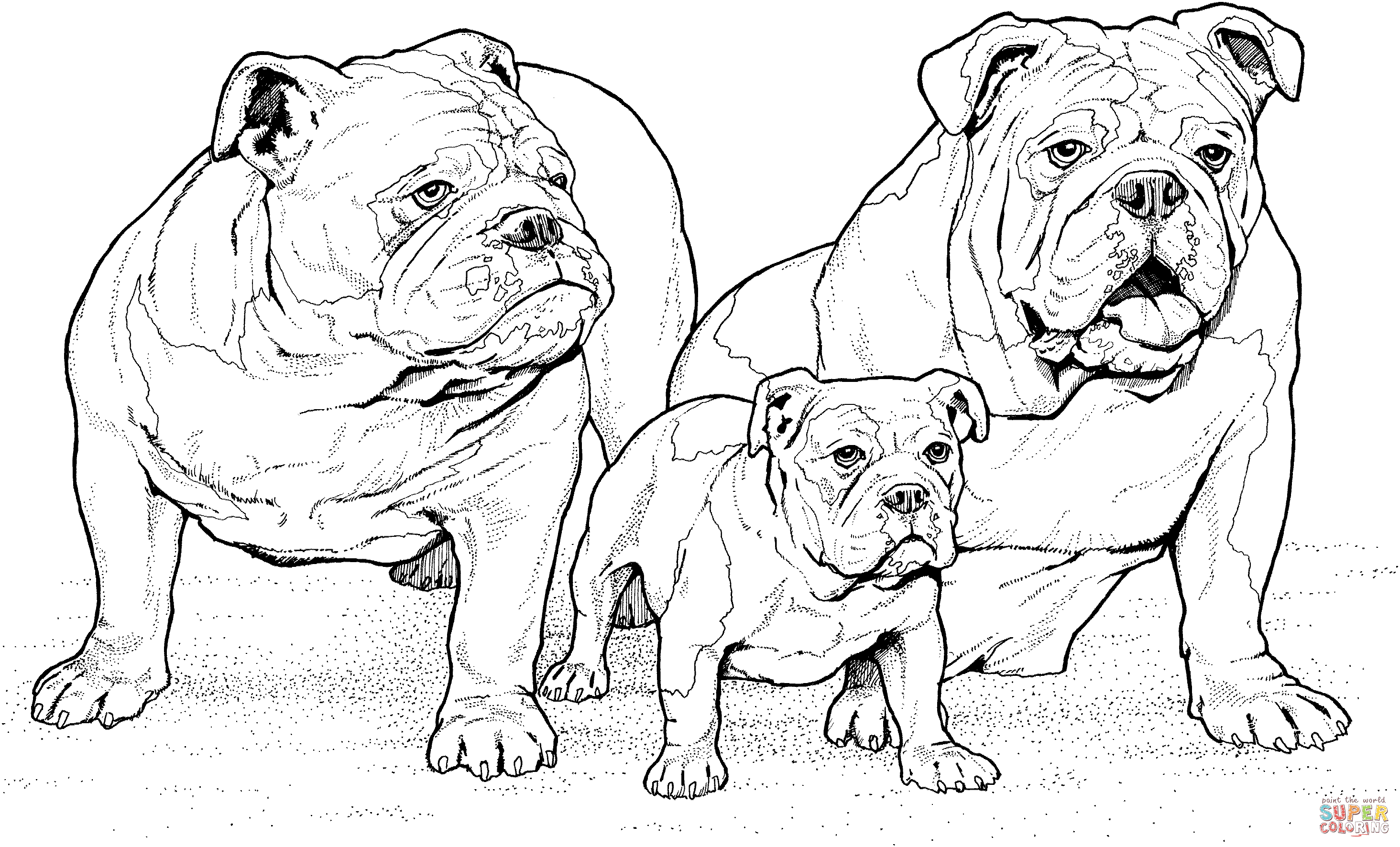 English-Bulldogs-With-Puppy-Coloring-Page
