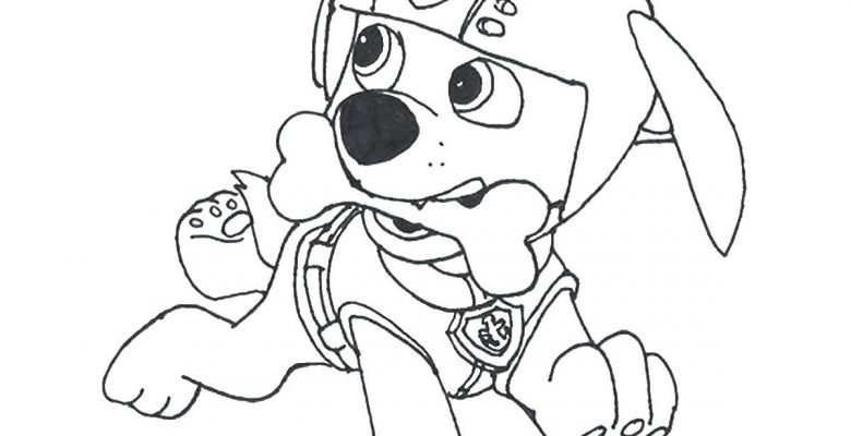 Paw Patrol Boyama Sayfaları