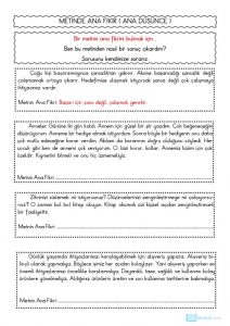 thumbnail of ANA FİKİR ANA DÜŞÜNCE ETKİNLİKLERİ 4