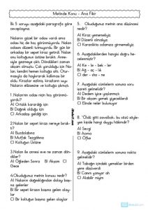 thumbnail of ANA FİKİR ANA DÜŞÜNCE ETKİNLİKLERİ TEST