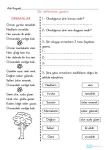 thumbnail of ANA FİKİR ANA DÜŞÜNCE ETKİNLİKLERİ 3