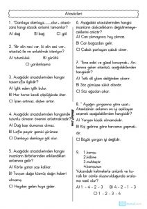 thumbnail of ATASÖZLERİ ETKİNLİKLERİ TEST