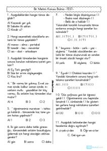 thumbnail of METNİN KONUSU BULMA TEST 2