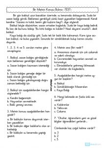 thumbnail of METNİN KONUSU BULMA TEST