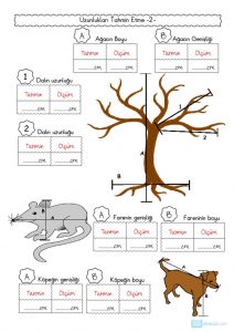 thumbnail of UZUNLUKLARI TAHMİN ETME ETKİNLİKLERİ 2