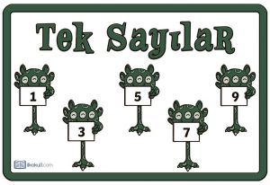thumbnail of tek sayılar poster