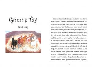 thumbnail of İlk sayfa gumustay_ENSON