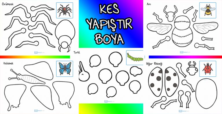 Boya-Kes-Yapıştır Kendi Böceğini Kendin Yap