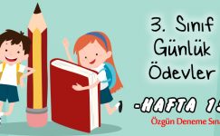 3. Sınıf Günlük Ödevler -1. Dönem 15. Hafta-