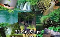 BELİRLİ GÜN VE HAFTALAR (ORMAN HAFTASI 21-26 MART )