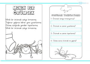 thumbnail of minik bir örümcek etkinlik paketi