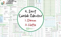 4. Sınıf Günlük Ödevler 1. Dönem 3. Hafta
