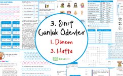 2019-2020 3. Sınıf Günlük Ödevler 1. Dönem 3. Hafta