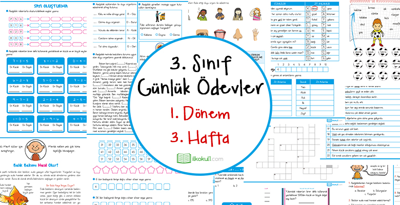 2019-2020 3. Sınıf Günlük Ödevler 1. Dönem 3. Hafta