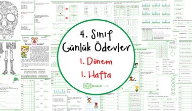 2019-2020 4. Sınıf Günlük Ödevler 1. Dönem 1. Hafta