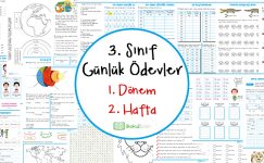 3. Sınıf Günlük Ödevler 1. Dönem 2. Hafta