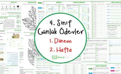 4. Sınıf Günlük Ödevler 1. Dönem 2. Hafta