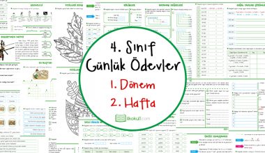 4. Sınıf Günlük Ödevler 1. Dönem 2. Hafta