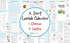 3. Sınıf Günlük Ödevler 1. Dönem 4. Hafta