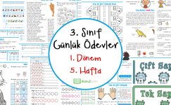 3. Sınıf Günlük Ödevler 1. Dönem 5. Hafta