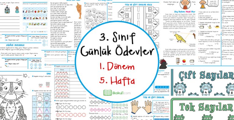3. Sınıf Günlük Ödevler 1. Dönem 5. Hafta