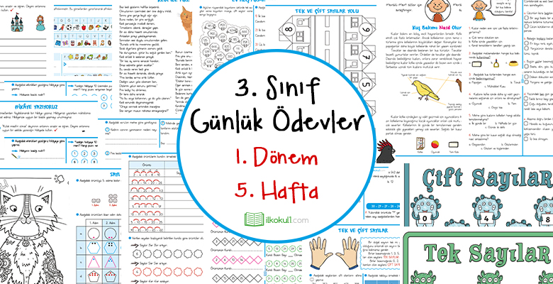 3. Sınıf Günlük Ödevler 1. Dönem 5. Hafta