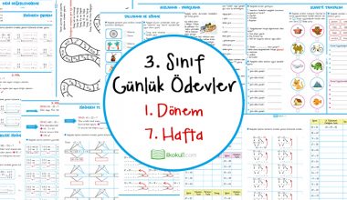 3. Sınıf Günlük Ödevler 1. Dönem 7. Hafta